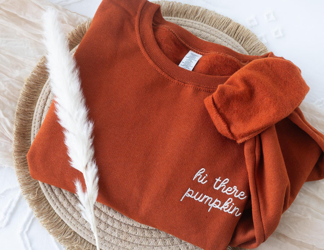Embroidered Hi There Pumpkin Sweatshirt, Embroidered Fall Sweatshirt, Halloween Sweatshirt, Fall Sweater, Trendy Crewneck, HITHE-P-97
