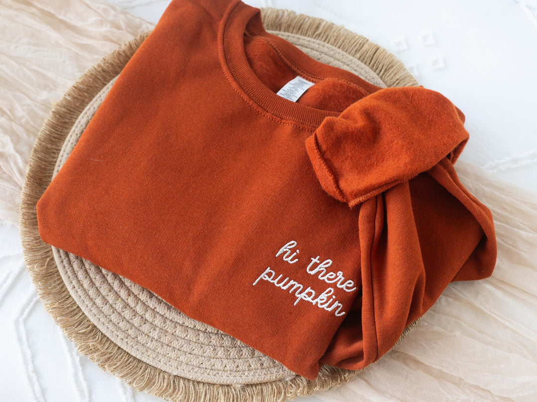 Embroidered Hi There Pumpkin Sweatshirt, Embroidered Fall Sweatshirt, Halloween Sweatshirt, Fall Sweater, Trendy Crewneck, HITHE-P-97