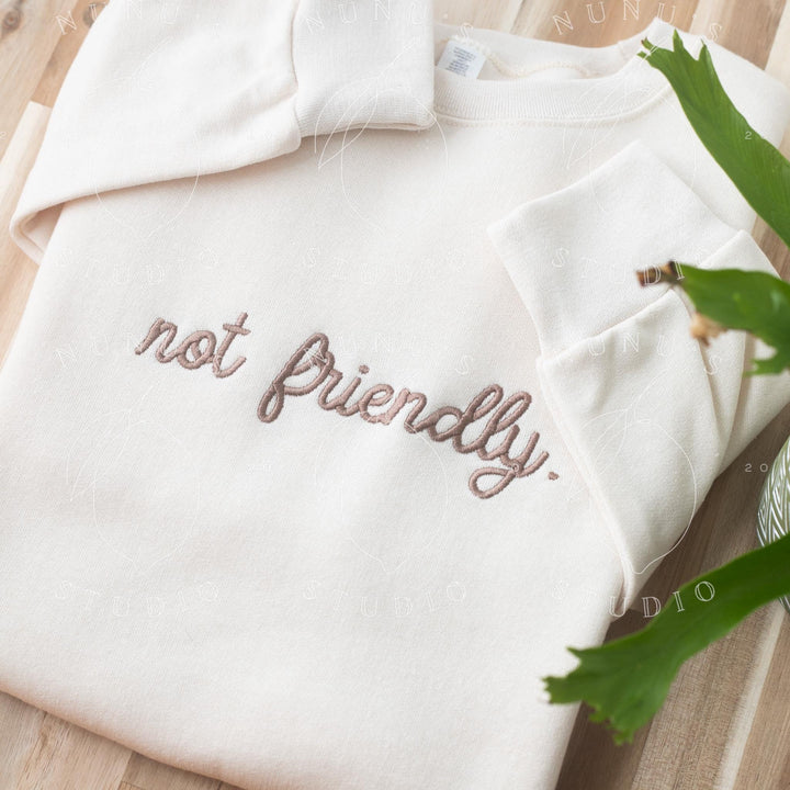Embroidered Not Friendly Sweatshirt, Funny Relatable Mental Health Introvert Crewneck